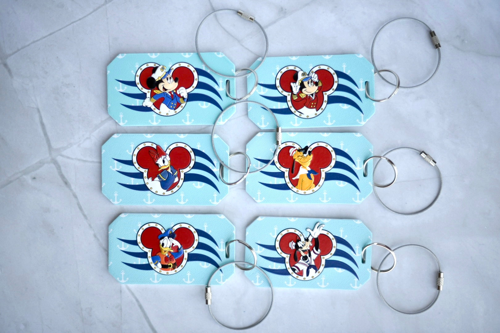 Dcl Character Luggage Tag NFC